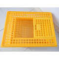 Plastic transport cage for chicken